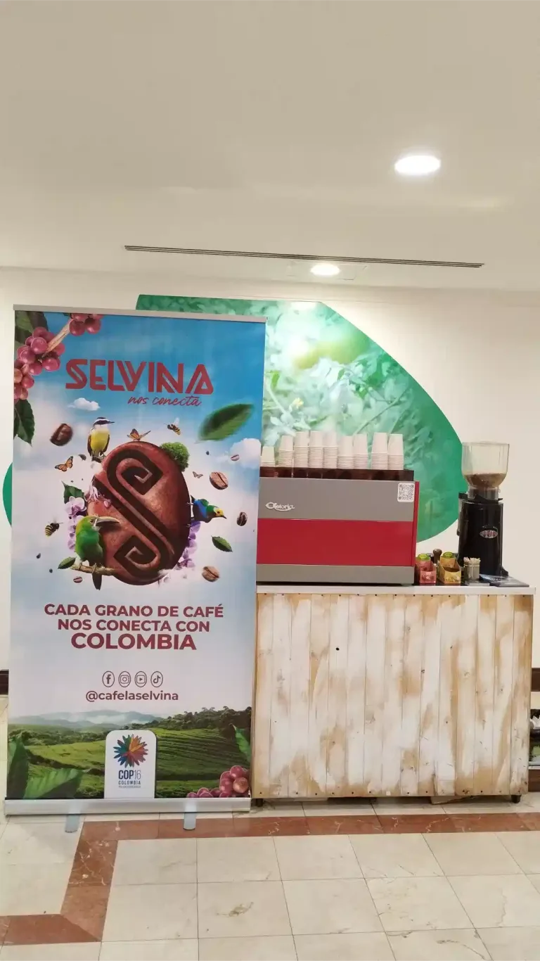 Estaciones de Café en Cali