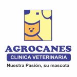 Catas y Experiencias con Cafe